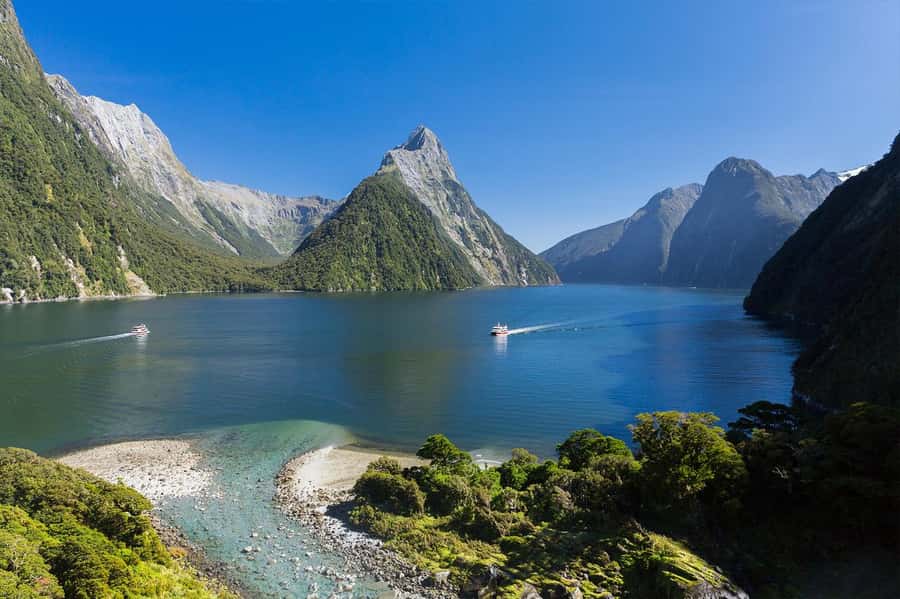 Milford Sound: Nature Cruise & Milford Track Walk - Choosing between the 9am walk and 10:30am cruise