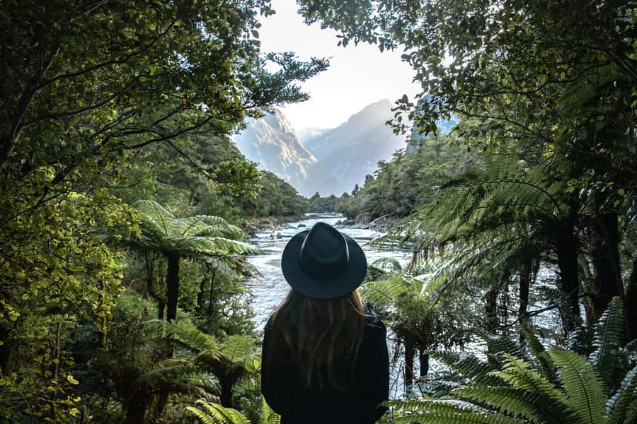 Milford Sound: Self-Guided Milford Track Day Walk - Sandfly Point and the First Stretch of Track