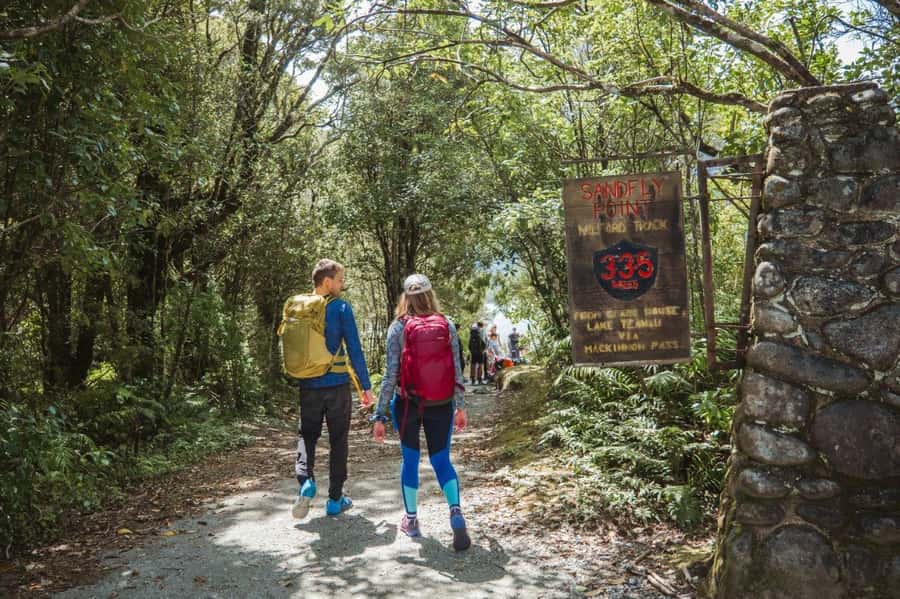 Milford Sound: Self-Guided Milford Track Day Walk - What the Return Walk Feels Like