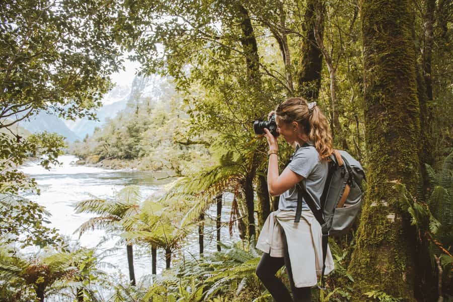 Milford Sound: Self-Guided Milford Track Day Walk - Sandflies, Weather, and What to Pack