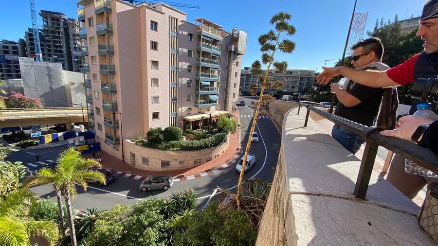 Monaco: Formula One Circuit Guided Walking Tour - Starting at Square Gastaud and the start line