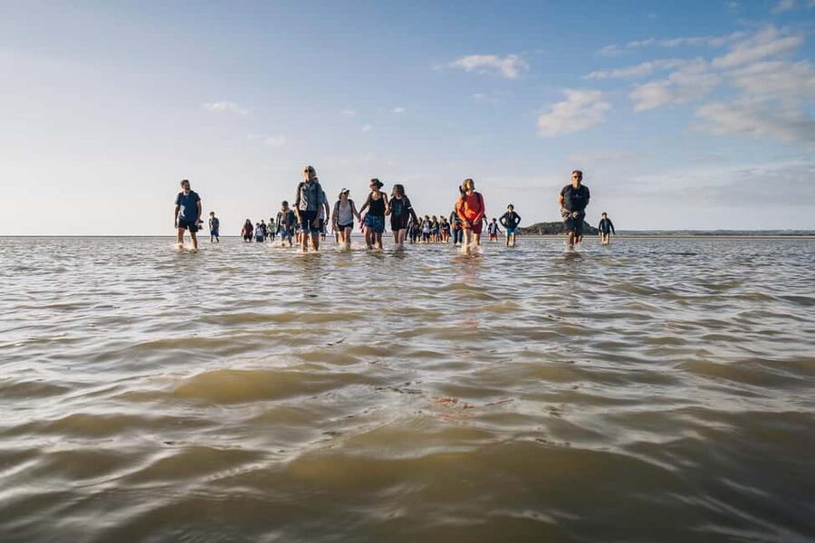 Mont-saint-Michel : Walk in the heart of the Bay - What the guide adds in three hours