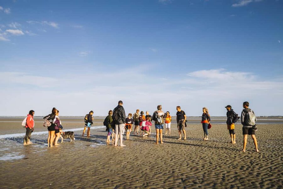 Mont-saint-Michel : Walk in the heart of the Bay - Meeting at the foot of the Mont