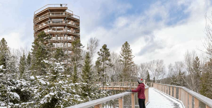 Mont-Tremblant: Treetop Observatory and Self-Guided Walk - The forest path to the 40-meter observatory