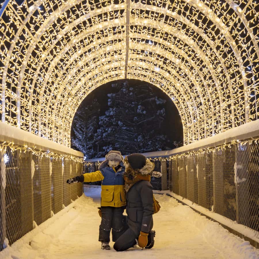 Mont-Tremblant: Treetop Observatory and Self-Guided Walk - Why this works for a relaxed day near Mont-Tremblant