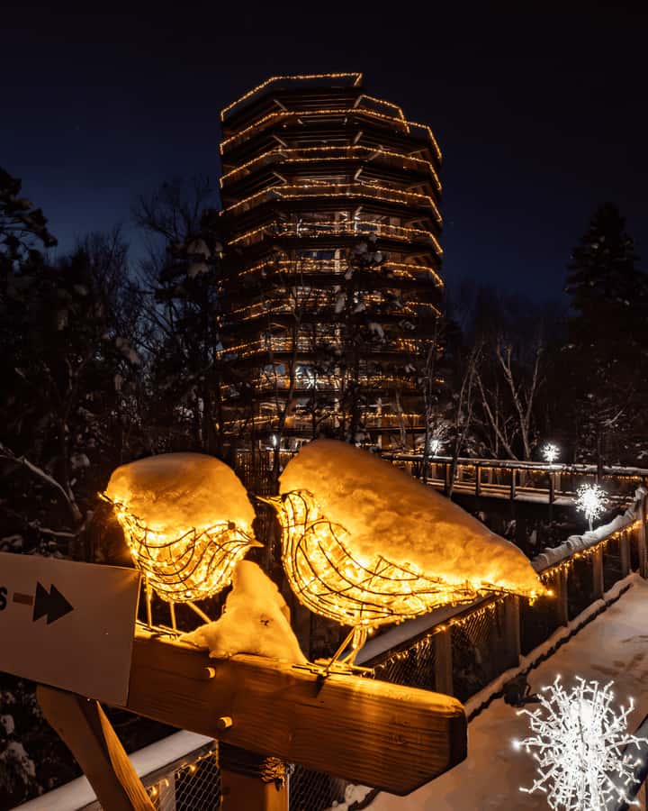 Mont-Tremblant: Treetop Observatory and Self-Guided Walk - A former fish hatchery with more than a viewing tower