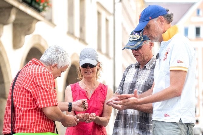 Munich: Old Town Walking Tour - The English Garden and the river surfers