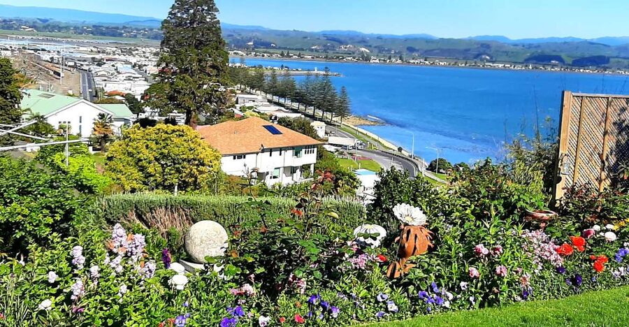 Napier: Art-Deco + Te Mata Peak+ Garden Walk + Wine Tasting - Bluff Hill and the port below