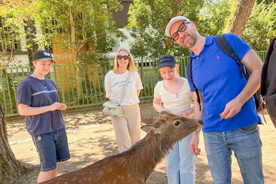 Nara: Half-Day UNESCO Heritage & Local Culture Walking Tour - Why this Nara walking tour works