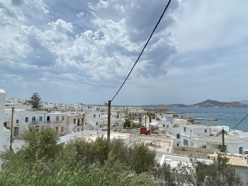 Naxos: Food Walking Tour & Cooking Class with Meal & Drinks - Tasting cheese and citron liqueur