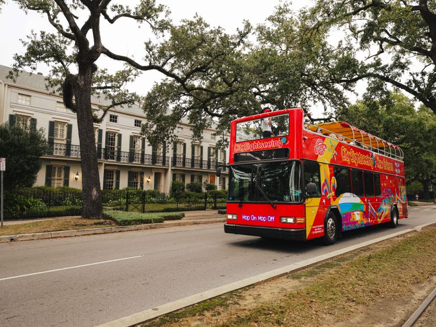 New Orleans: 2 or 3 Day Hop-On Hop-Off Bus with Walking Tour - Key points to know before you book