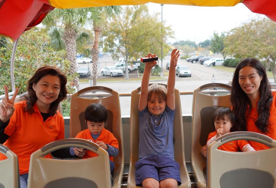 New Orleans: 2 or 3 Day Hop-On Hop-Off Bus with Walking Tour - Basin Street, Canal Street, and the central city