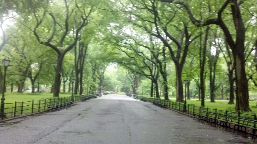 New York City: Central Park Walking Tour - Starting at 2 Columbus Circle