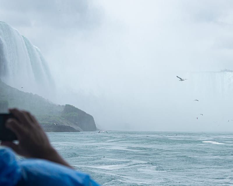 Niagara USA: Daredevil Walking Tour & Maid of Mist Boat Ride - The Observation Tower provides the high photo point