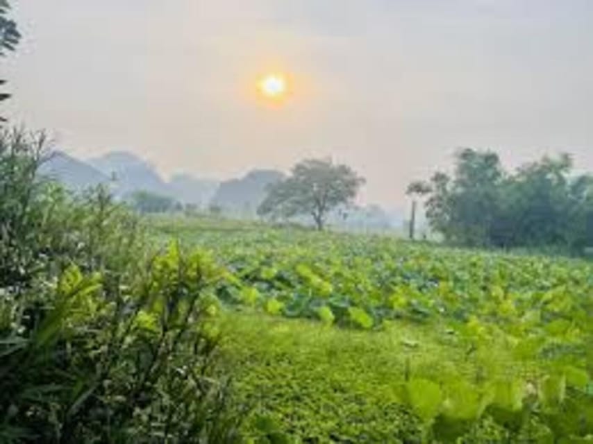 Ninh Binh Sunset Tour And Visit Hoa Lu Walking Town At Night - The guides, safety, and the feel of the ride