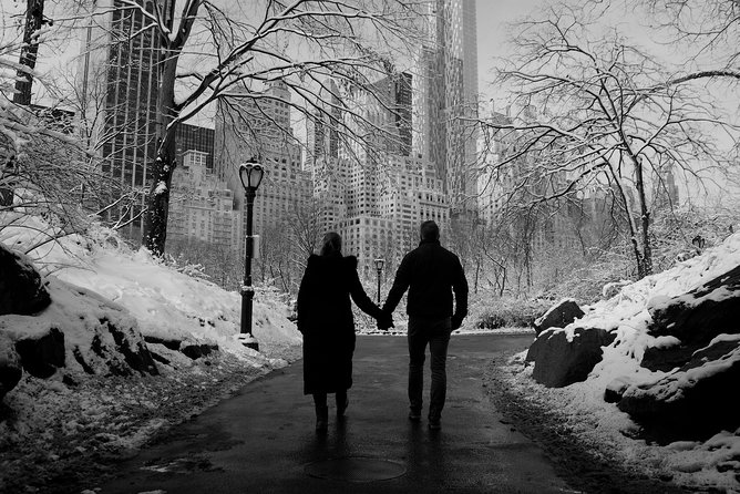NYC Professional Photoshoot and Walking Tour with Private Guide - Brooklyn Bridge is the big closing image