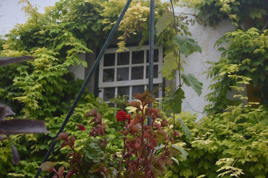 Óbidos: Medieval Tales & Secrets Spots Guided Walking Tour - Churches, chapels, and the old center