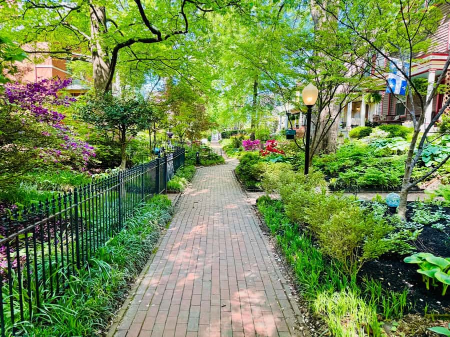 Old Louisville: History and Architecture Walking Tour - The route through Old Louisville