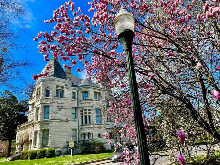 Old Louisville: History and Architecture Walking Tour - The architecture to watch for