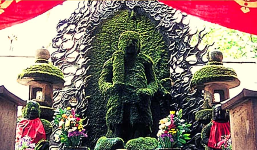 Osaka: Hotspots & Hidden Gems Walking Tour Private or Group - Why this walk makes Osaka easier to understand