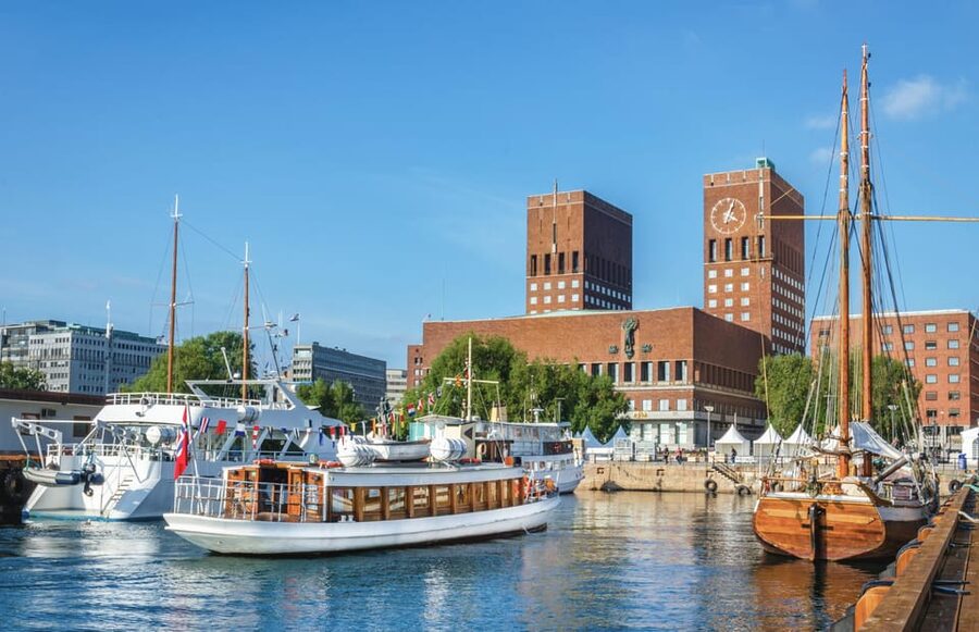 Oslo: Guided Walking Tour of Central Oslo with Local Guide - Aker Brygge adds fjord views and free time