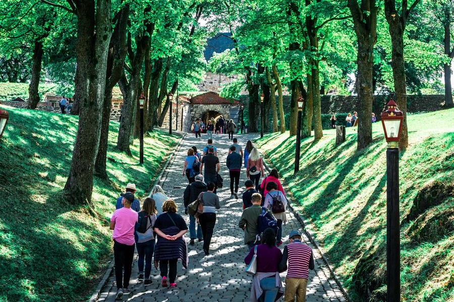Oslo: Private Walking Tour - Royal Palace, Karl Johans gate, and Parliament