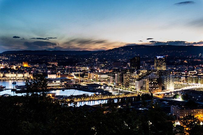 Oslo: Private Walking Tour with a Local - What kind of Oslo tour is this?