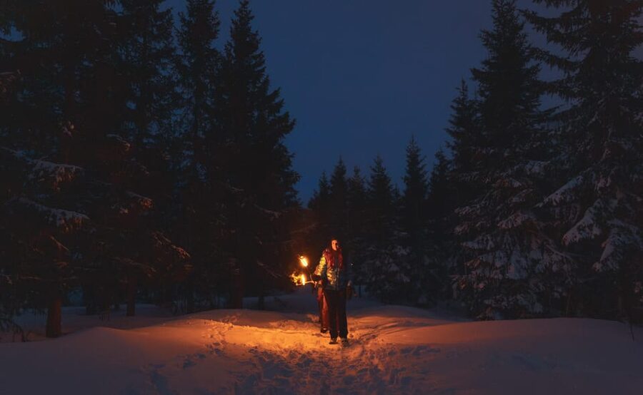 Oslo: Snowy Forest Torchlight Walk with Campfire - From Oslo Central Station to the winter woods