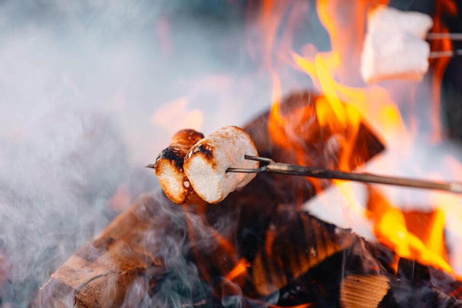Oslo: Snowy Forest Torchlight Walk with Campfire - The best time to book this experience