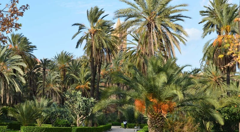 Palermo: Art and Architecture Walking Tour - Starting at Teatro Politeama Garibaldi or Villa Bonanno