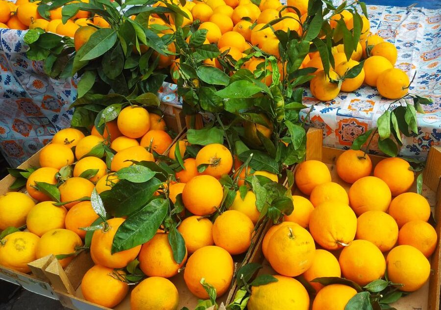 Palermo: Street Food Walking Tour with Local Guide & Tasting - Meeting at Teatro Massimo in Piazza Giuseppe Verdi