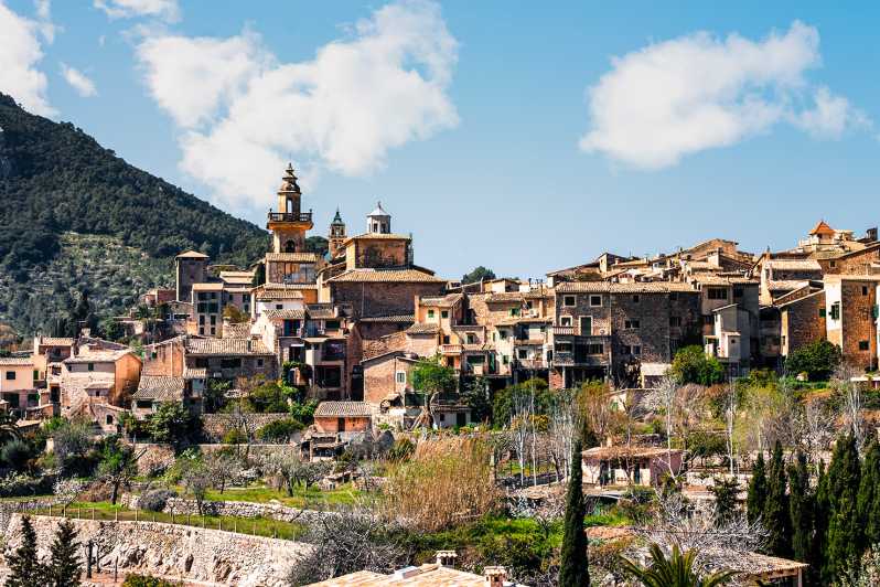 Palma, Cathedral & Valldemossa: Guided walking Tour - Key points to know before booking
