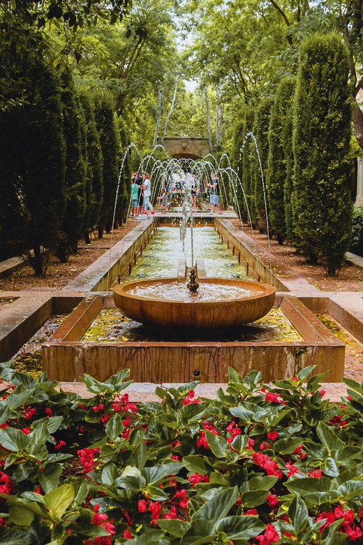 Palma, Cathedral & Valldemossa: Guided walking Tour - A 45-minute walk through Palma’s old town