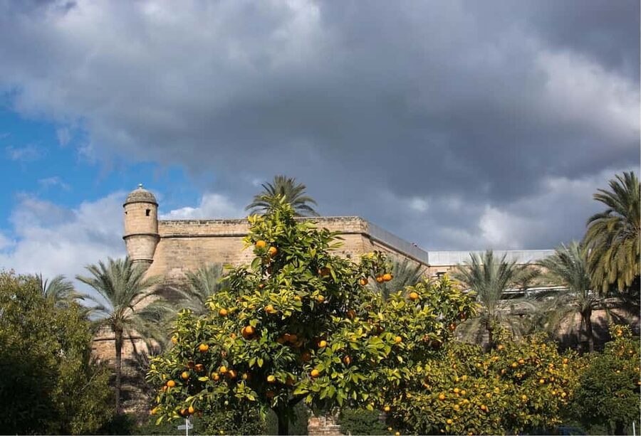 Palma de Mallorca: Walking Tour, Cathedral & Local Tasting - Royal Palace, gardens, and the old waterfront