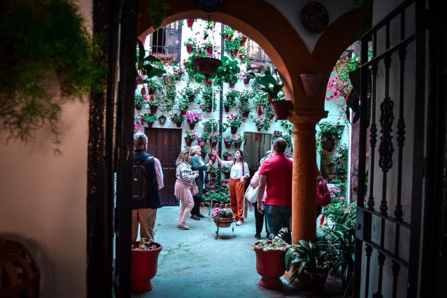 Patios of Cordoba Walking Tour - What the Spanish Commentary Means for You