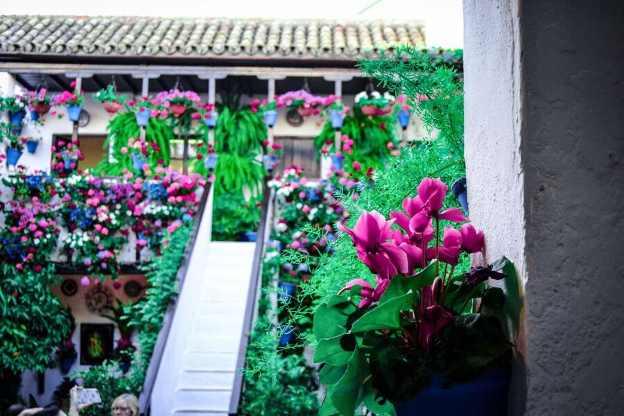 Patios of Cordoba Walking Tour - Flowers, Tiles, and Courtyard Details