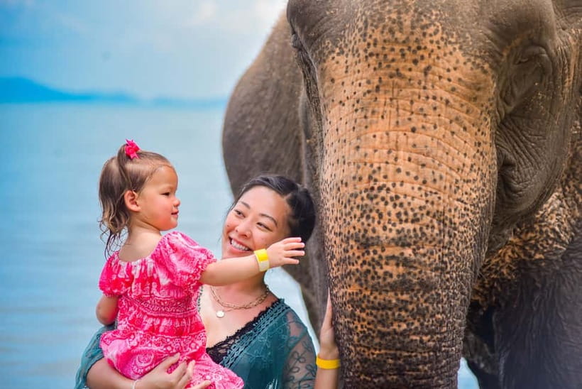 Phuket:Beach walk with elephants, rain & care. 2.5 hours - Key points to know before booking