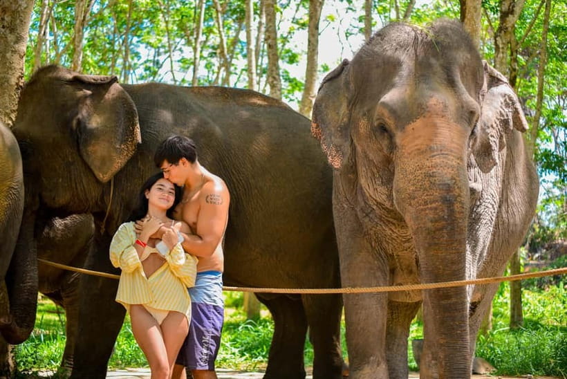 Phuket:Beach walk with elephants, rain & care. 2.5 hours - From elephant food to the jungle path