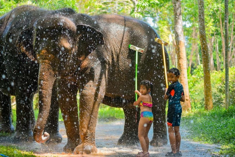 Phuket:Beach walk with elephants, rain & care. 2.5 hours - Bathing elephants at the private beach