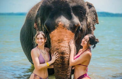 Phuket:Beach walk with elephants, rain & care. 2.5 hours