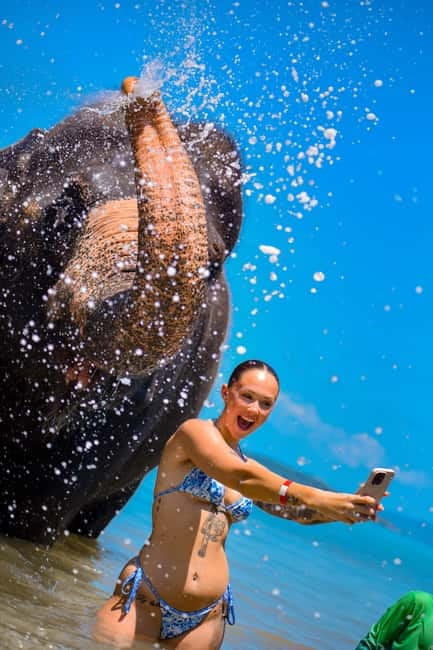 Phuket:Beach walk with elephants, rain & care. 2.5 hours - Group size, photography, and the pace of the visit