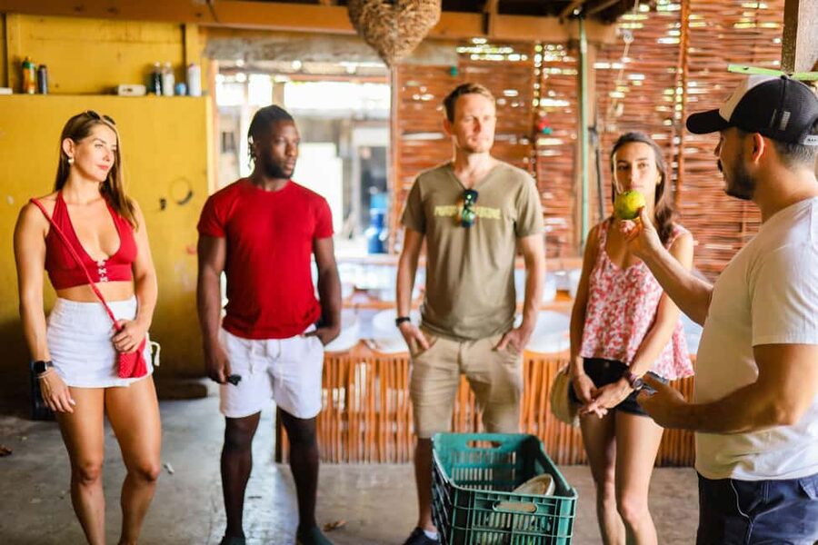 Playa del Carmen: 3-Hour Local Food Walking Tour - Timing, comfort, and food restrictions