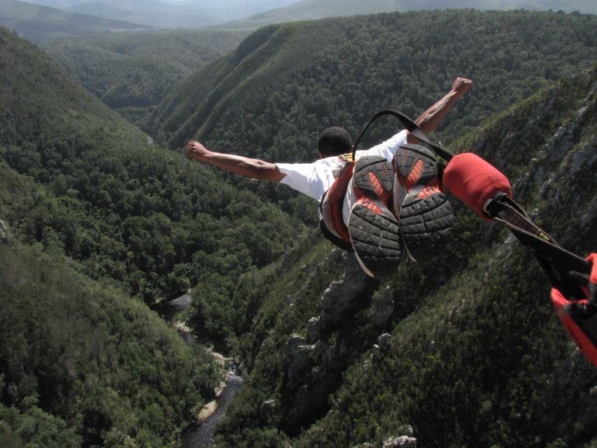 Plettenberg Bay: Bungee Jumping with Zipline and Sky Walk - Why Bloukrans Bridge is the main event