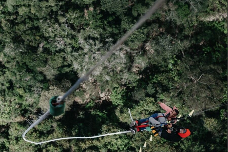 Plettenberg Bay: Bungee Jumping with Zipline and Sky Walk - Arriving one hour early at Face Adrenalin