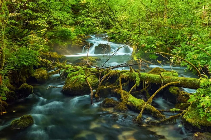 Plitvice Lakes: Guided Walking Tour with Bus and Boat Ride - Meeting at Entrance 1