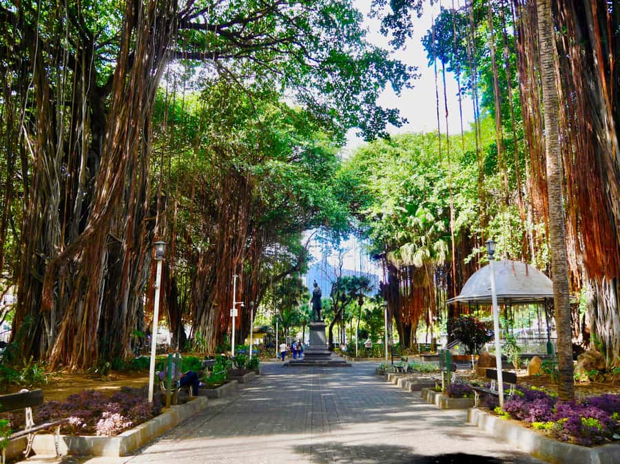 Port Louis: Street Eats and City Highlights Walking Tour - Jummah Masjid and the city’s religious mix