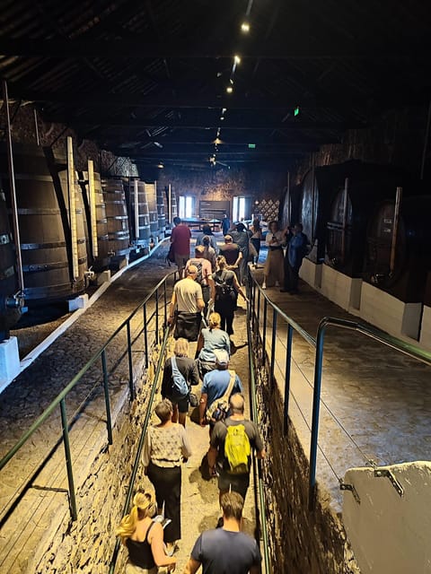 Porto: Port and Douro Wine Walking Tour with 9 Tastings - Vasques De Carvalho: an easy start to the tasting