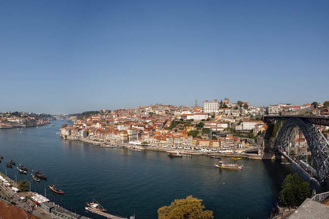 Porto Walking Tour, Lello Bookshop, River Cruise and Cable Car - A longer walk through Porto’s center