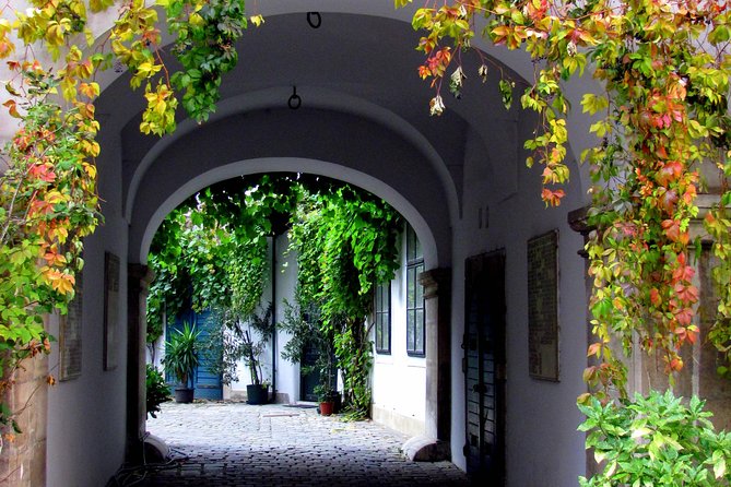 Private Hidden Vienna Walk — Stories Behind Quiet Corners - The basilisk on Schönlaterngasse