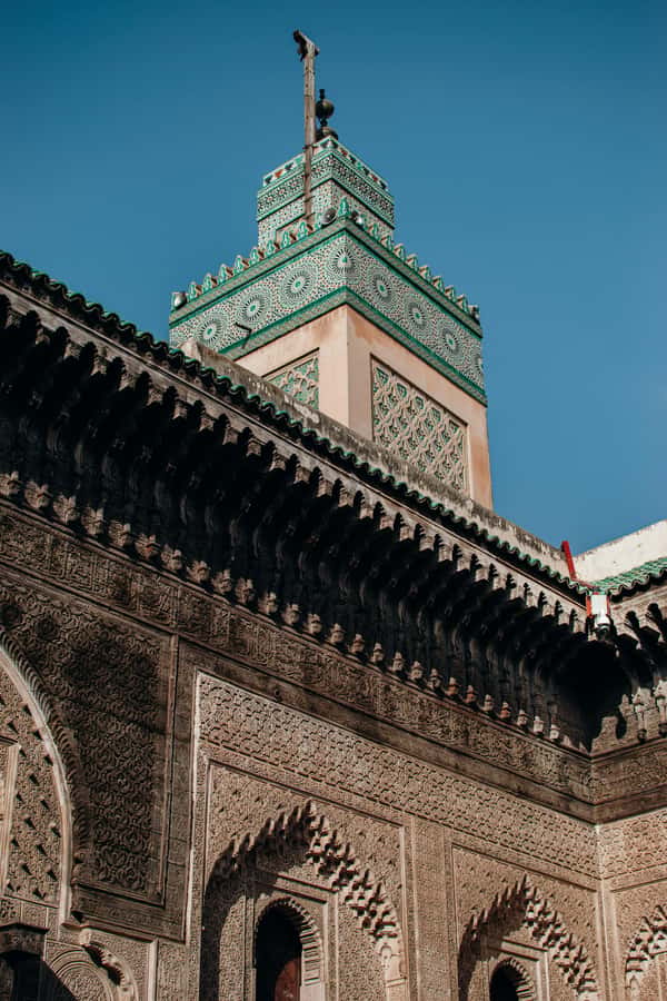 Private Tour –In Old Medina of Fez with a Professional Guide - Who should book this Fez walk